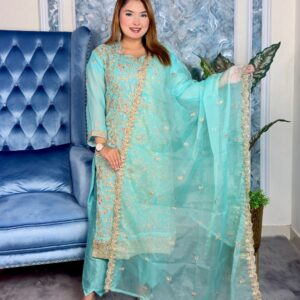 Stitched Premium Dress