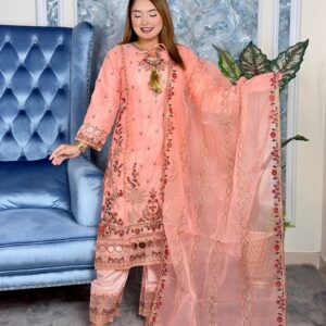 Stitched Premium Ring Dress