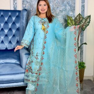 Stitched Premium Ring Dress