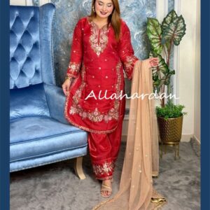 Readymadea Pakistani Inspaird 5C